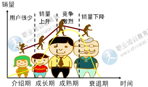 2014年中級經(jīng)濟(jì)師考試工商管理專業(yè)精講：產(chǎn)品策略