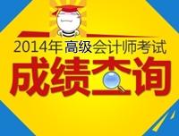 高級(jí)會(huì)計(jì)師成績(jī)查詢(xún)時(shí)間