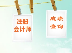 2014年注冊(cè)會(huì)計(jì)師成績(jī)查詢(xún)時(shí)間