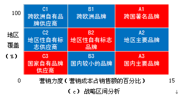 戰(zhàn)略群組分析