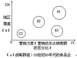 戰(zhàn)略群組分析