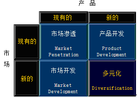 公司戰(zhàn)略知識點(diǎn)