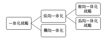 公司戰(zhàn)略知識點(diǎn)