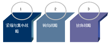 公司戰(zhàn)略與風險管理知識點