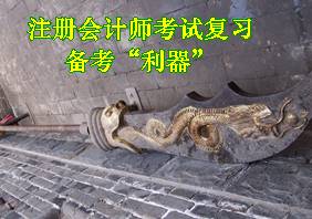 注冊會計師考試復(fù)習備考利器