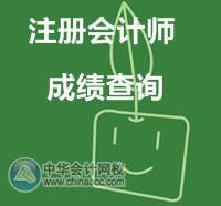 2015年注冊(cè)會(huì)計(jì)師考試成績查詢?nèi)肟谝验_通