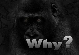 近三個月為什么不要招惹財務(wù)？