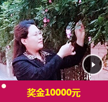 如何在三個月內通過稅務師考試 你用盡洪荒之力嗎？