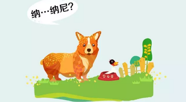 初級會計職稱報名成功了，會不會審核不通過？ 