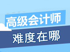 參加高級會(huì)計(jì)師考試的過程中 考生認(rèn)為最有難度的是什么