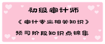 2017年初級(jí)審計(jì)師《審計(jì)專(zhuān)業(yè)相關(guān)知識(shí)》預(yù)習(xí)階段知識(shí)點(diǎn)匯總