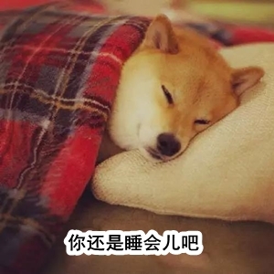 初級(jí)會(huì)計(jì)職稱(chēng)備考計(jì)劃