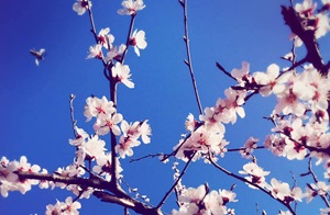 2017年資產(chǎn)評估師考試報名