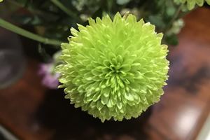 2017年國際內審師考試時間安排