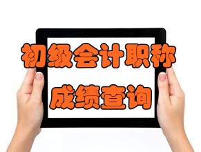 2017初級(jí)會(huì)計(jì)職稱(chēng)考試成績(jī)查詢(xún)