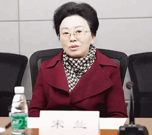 中稅協(xié)會長宋蘭講話