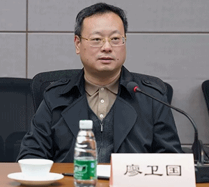國家稅務(wù)總局納服司副司長廖衛(wèi)國講話