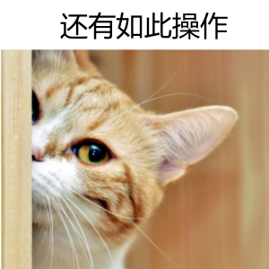 get新技能！2017年注冊(cè)會(huì)計(jì)師考試成績(jī)?cè)缰溃? align=