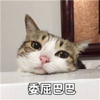 2017年CPA成績查詢入口在哪呢？