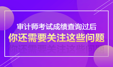 2017年審計(jì)師考試成績查詢過后不得不關(guān)注的事情—考后資格審核
