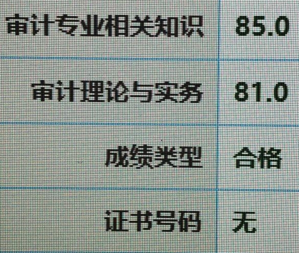 好樣的！零基礎(chǔ)頂住壓力高分拿下審計師