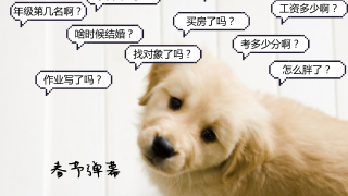 注會(huì)人過(guò)年最扎心問(wèn)題 比問(wèn)你年薪多少還要恐怖！ 