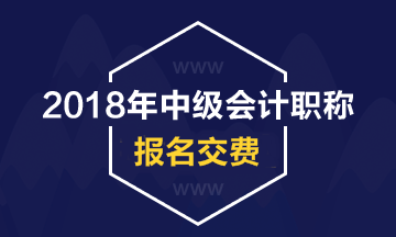 天津2018年中級會計職稱網(wǎng)上繳費時間及標(biāo)準(zhǔn)