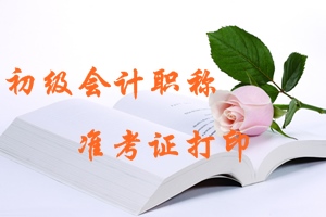 西藏2018年初級(jí)會(huì)計(jì)職稱準(zhǔn)考證打印時(shí)間