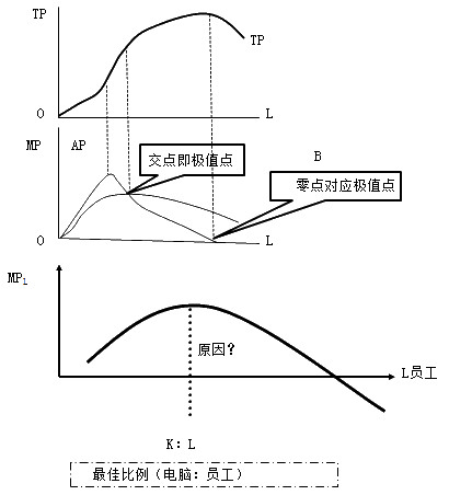 總產(chǎn)量、平均產(chǎn)量和邊際產(chǎn)量曲線