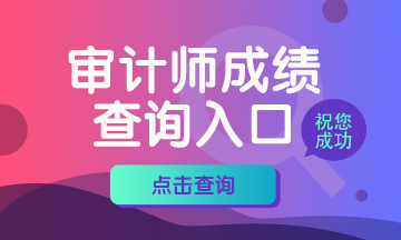 6、360x216    審計(jì)師