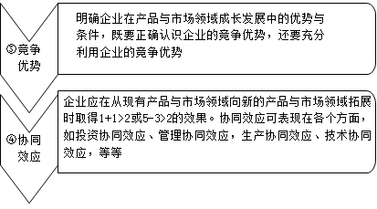 企業(yè)戰(zhàn)略管理的要素、體系與過程