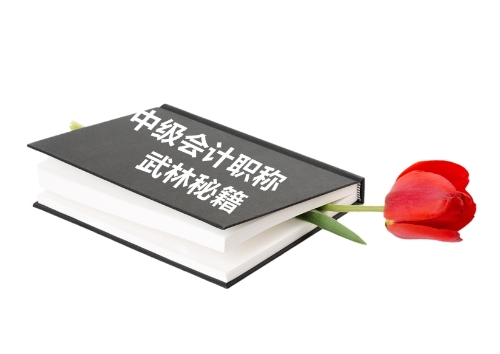 中級(jí)會(huì)計(jì)職稱武林秘籍