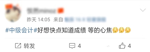 中級(jí)會(huì)計(jì)職稱考試成績(jī)查詢