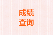 中級(jí)會(huì)計(jì)考試成績(jī)查詢?nèi)肟谝验_(kāi)通