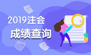 廣東廣州什么時(shí)候查詢2019年注會(huì)成績？