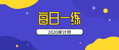 審計(jì)師每日一練