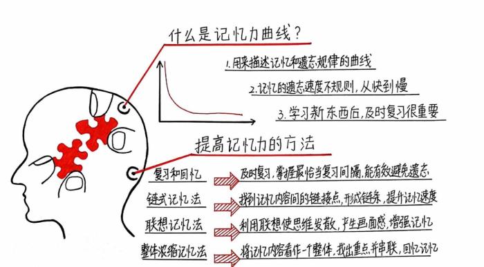 351記憶法 AICPA備考拒絕遺忘！