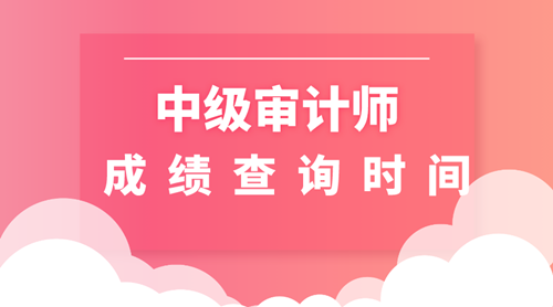 2019中級(jí)審計(jì)師成績(jī)查詢時(shí)間
