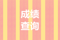甘肅2020年會計(jì)高級職稱成績查詢時(shí)間