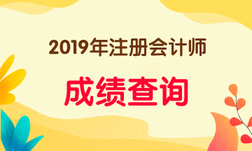 2019年上海注會(huì)考試成績(jī)查詢(xún)