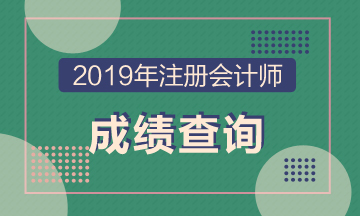 2019年河南南陽(yáng)CPA成績(jī)查詢(xún)