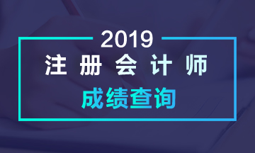 安徽亳州2019年注會(huì)成績(jī)查詢