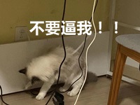前方高能！距離2020年注會(huì)考試你的學(xué)習(xí)時(shí)間僅剩1個(gè)月？