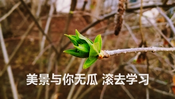 為了高考 我們不能只讀高三！為了考過CPA 也不能只等4月份！