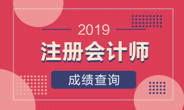 青海2019年注會(huì)考試成績查詢