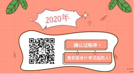 確認(rèn)過眼神 是2020年初級會計考試選的人！