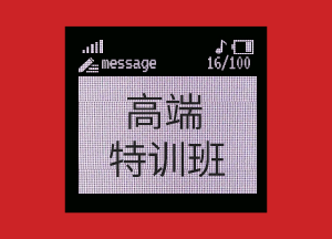 正保會(huì)計(jì)網(wǎng)校USCPA高端特訓(xùn)班可享受哪些服務(wù)？