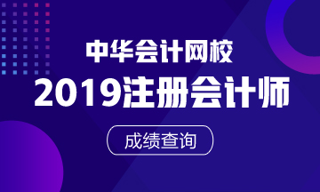 山東2019年注冊(cè)會(huì)計(jì)師官網(wǎng)成績查詢?nèi)肟谑悄膫€(gè)？