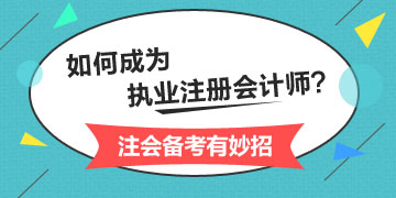 執(zhí)業(yè)注冊會計師