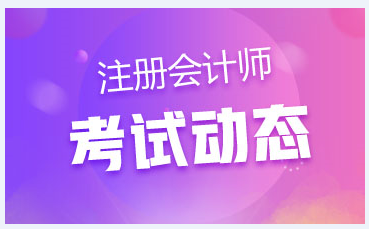 河南2020年注會什么時候考試？